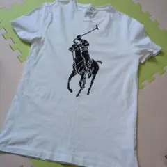 Polo Ralph Lauren ホワイト Tシャツ　S