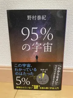 95%の宇宙 野村泰紀