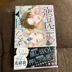 恋は空から降ってくる(2)