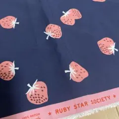 Item thumbnail for item 485d5b35-5915-4ef6-9e24-2b4c1cde75cb