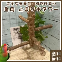 2025年最新】インコ 止まり木 タワーの人気アイテム - メルカリ