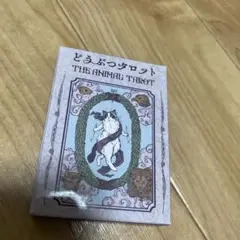 美品⭐️どうぶつタロット　大アルカナ22枚　説明付き