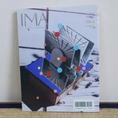 IMA 2013 Winter Vol.6