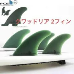 FCS2 CARVER QUAD REAR FIN SET 2枚