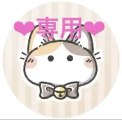 ❤︎専用❤︎