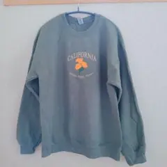 GILDAN Heavy Blend M グレー スウェット カリフォルニア