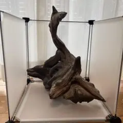 Item thumbnail for item f4b50a01-f503-42bd-991b-8d198aa01b5c