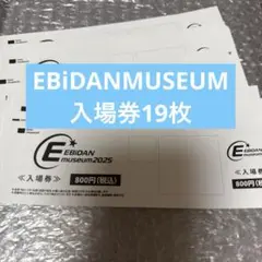 EBiDANmuseum2025 グッズ 入場券 19枚