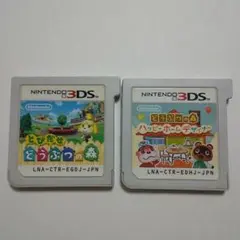 とびだせ どうぶつの森 & ハッピーホームデザイナー セット