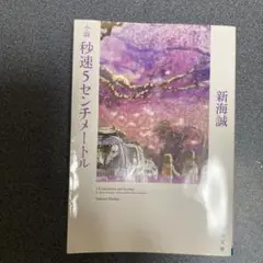 小説 秒速5センチメートル