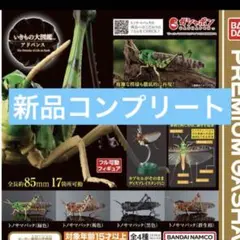 【最安値】いきもの大図鑑アドバンス　トノサマバッタ4種フルコンプセット いきもの大図鑑アドバンス トノサマバッタ｜ガシャポン