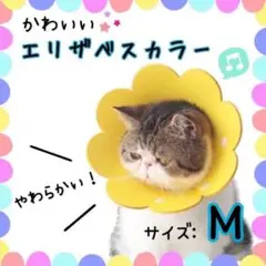 エリザベスカラー 犬 猫 かわいい 傷口保護 やわらかいソフト 怪我 手術 術後