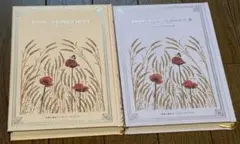 ⭐︎箔押し ハードカバー 本⭐︎高慢と偏見 I・II巻セット◆アンティーク 洋書 風