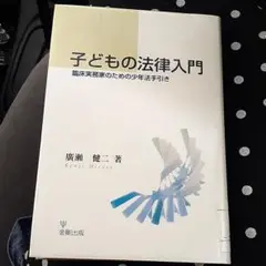 子どもの法律入門 : 臨床実務家のための少年法手引き