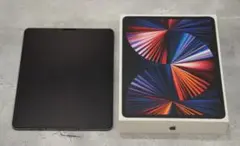 Apple iPad Pro 12.9インチ 2TB SIMフリー 第5世代