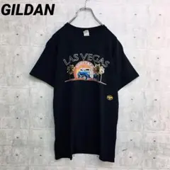 x0244 ギルダン Tシャツ 黒 M ビックプリント