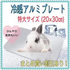 Item thumbnail for item 0180a11d-281e-4009-a6b5-477237303ffc