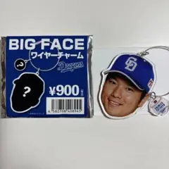 ドラゴンズ　清水達也　ワイヤーチャーム