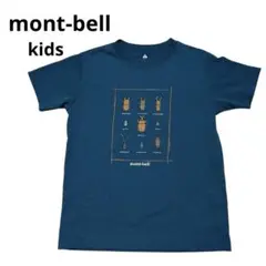 【超美品】モンベル 昆虫 Tシャツ キッズ 半袖 130 ブルーグリーン 虫