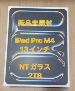 iPad Pro 13インチ (M4) 2TB Nano-Textureガラス