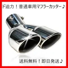マフラーカッタ 2本出し 特大 軽自動車 普通車 対応 ステンレス