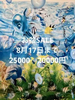 ♥︎美品♥︎ジルボーキュロット