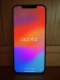 Apple iPhone 12 Pro Max 本体 512GB
