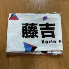 Item thumbnail for item 43d8de2c-fe1d-40c8-9ad8-edd2de5858f9