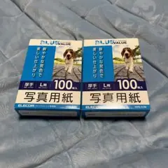 ヤマダ電機オリジナル 写真用光沢紙 L版 100枚 ホワイト 2個