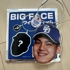 中日ドラゴンズ 石川昂弥 ワイヤーチャーム