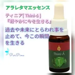 Item thumbnail for item 9c035d53-6704-4b7a-a3fc-826ad5b61ba7