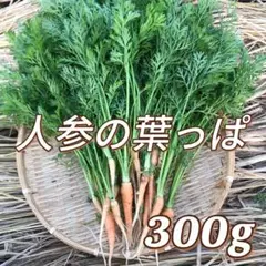 Item thumbnail for item 2812a9ee-46ff-45ae-beb2-1668be867957