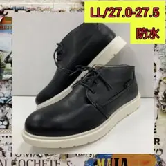 Item thumbnail for item 2e6586bb-036f-4601-8e79-2d41a8a2465e