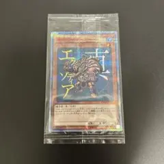 2025年最新】真エクゾディアの人気アイテム - メルカリ