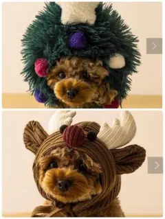 Item thumbnail for item 1ec6388c-4341-425e-970d-5cd15ad4d458