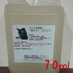 Item thumbnail for item e1353346-6ae8-47c0-bb06-55a9a3596df5