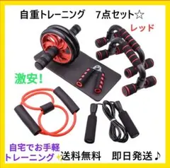 宅トレ 筋トレ フィットネス 7点セット 腹筋ローラー プッシュアップ レッド