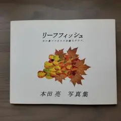 Item thumbnail for item d2065394-8791-4644-ae63-d5dda935c687