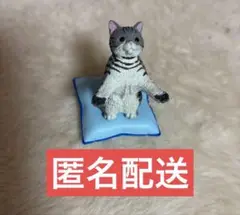 Item thumbnail for item 207da9de-80b5-4254-a611-c89d24138ee8