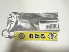 柏レイソル　原田 亘　42
