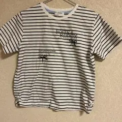 pom ponette ストライプ TシャツL 160