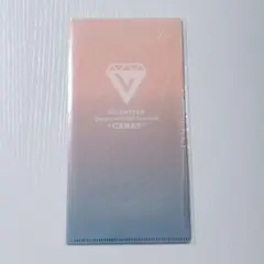 SEVENTEEN チケットホルダー
