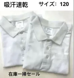 Item thumbnail for item 14e8704a-90a6-4737-a5a5-4a2350279cb7