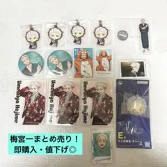 匿名・24時間以内発送｜WIND BREAKER梅宮一グッズ15点まとめ売り