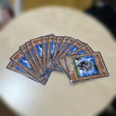 猛進する剣角獣　2期　ノーマル　13枚