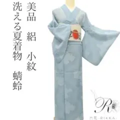 美品 洗える夏着物 蜻蛉 勝ち虫 絽 小紋 着物 A3093