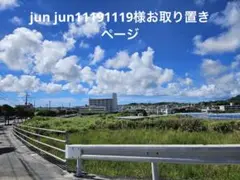 jun jun11191119様お取り置きページ　ハンドメイドカントリードール