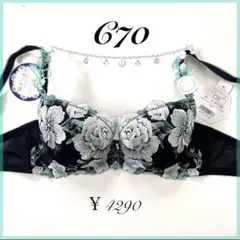 Item thumbnail for item 144569b4-d3c3-4010-b194-a588f786d7e7