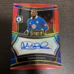 Panini エミール・ヘスキー サイン入りカード