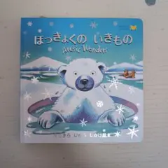 専用ページ＊ほっきょくのいきもの Arctic Wonders